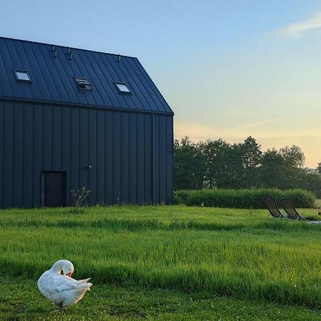 Apartamenty Boczna 3B Z Sauna I Balia Kudowa-Zdrój Esterno foto